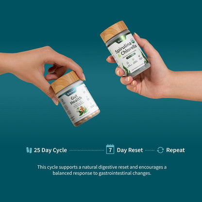 Gut Rebuild Protocol